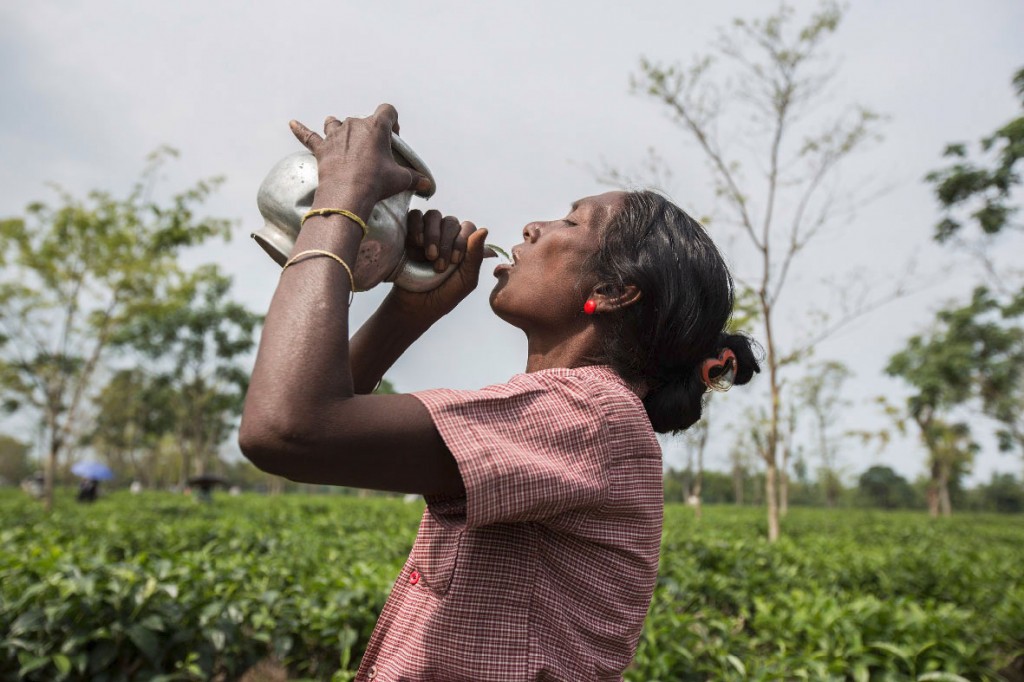 Eine Teepflückerin stillt während einer Pause ihren Durst. Da sauberes Trinkwasser rar ist, sind Fieber und Durchfallerkrankungen sehr häufig.